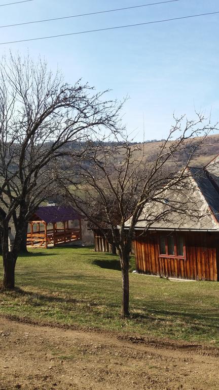 Cabana Bunicilor Rachitele Esterno foto